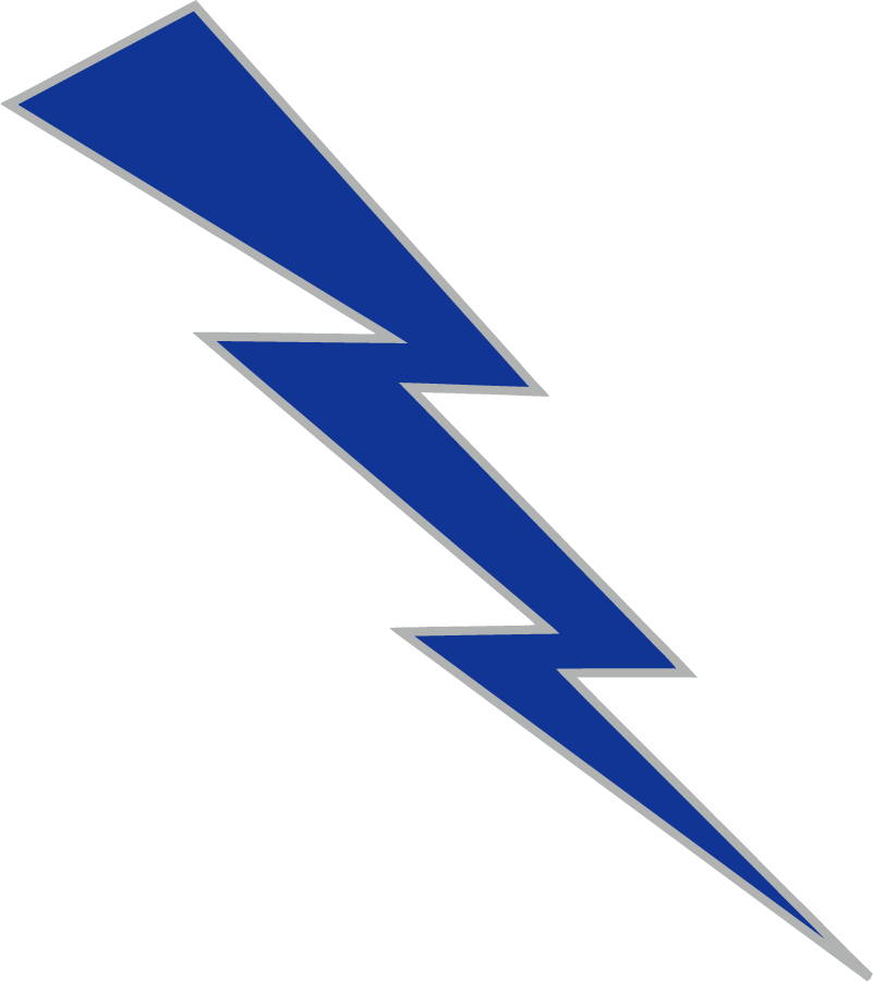 Air Force Falcons 2020-Pres Secondary Logo diy iron on heat transfer